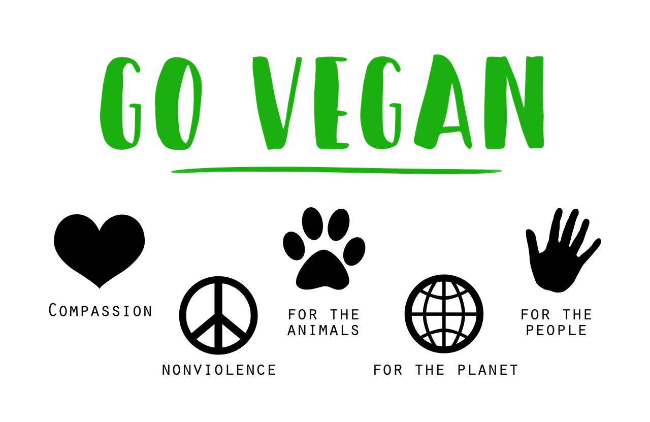 Jonge consument kiest voor vegan Jonge consument kiest voor vegan