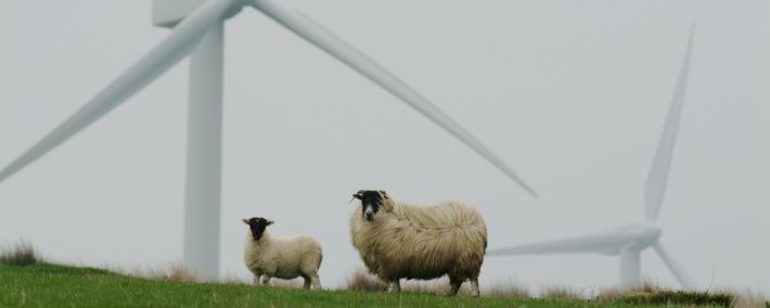 Zo maken bakkers hun bedrijf groener en sterker